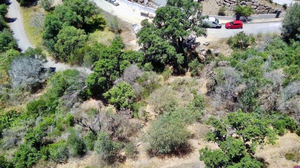 Terreno en paseo de Alemania