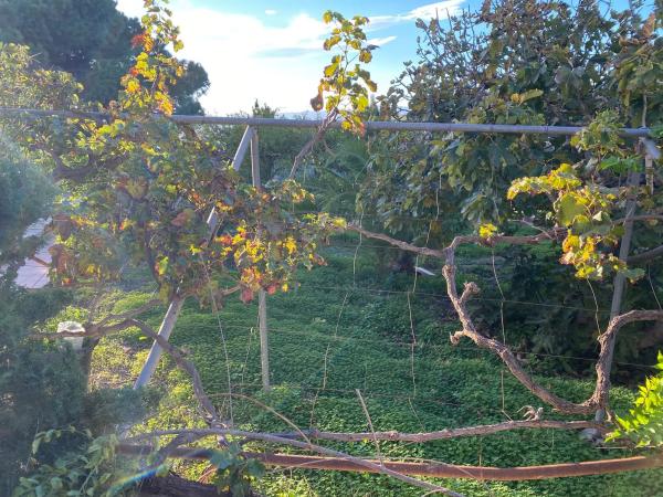 Terreno en calle Castillo Bajo, 4 c