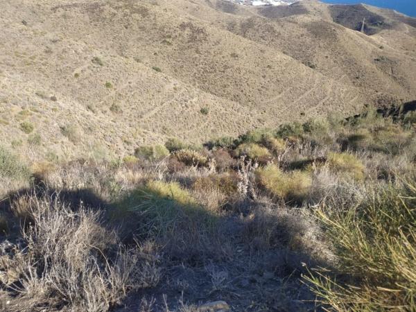 Terreno en Diseminado Pago Carlaja