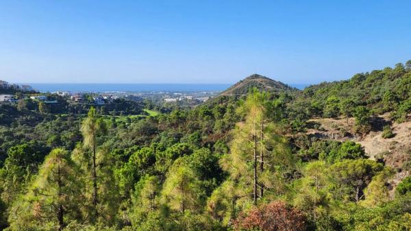 Terreno en calle del Alcuzcuz