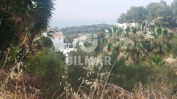 Terreno en calle Nogal