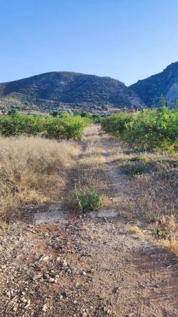 Terreno en Barriada Doña Ana s/n