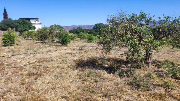 Terreno en Barriada Doña Ana s/n