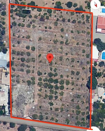 Terreno en Barriada Doña Ana s/n