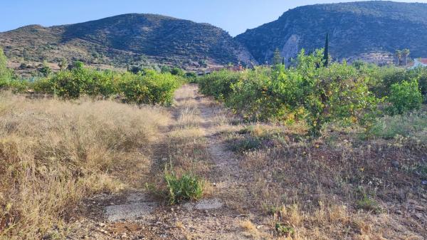 Terreno en Barriada Doña Ana s/n