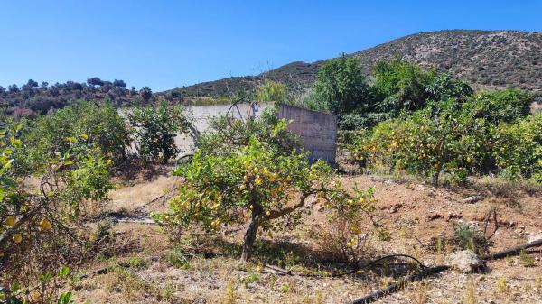 Terreno en Barriada Doña Ana s/n