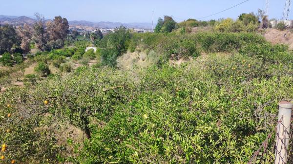 Terreno en Barriada Doña Ana s/n
