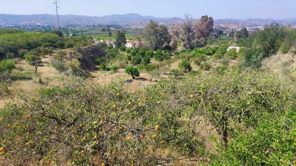 Terreno en Barriada Doña Ana s/n