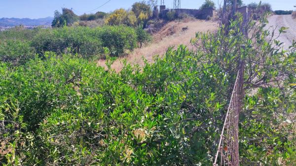 Terreno en Barriada Doña Ana s/n