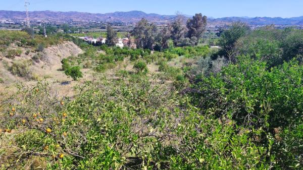 Terreno en Barriada Doña Ana s/n