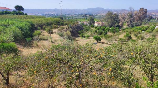 Terreno en Barriada Doña Ana s/n