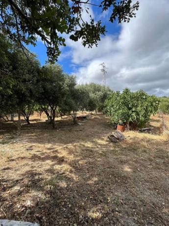 Terreno en camino arroyo de las gallinas s/n