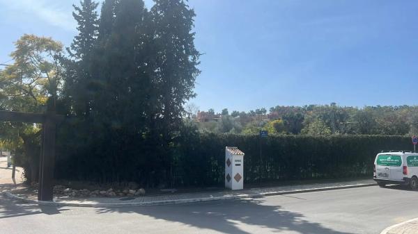 Terreno en calle Velázquez, 9