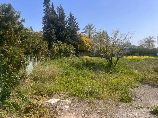 Terreno en calle Velázquez, 9