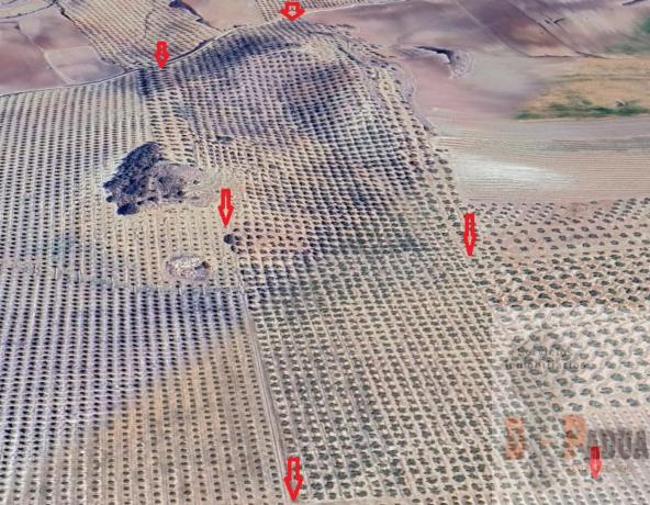 Terreno en Campillos