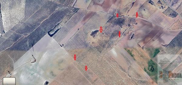 Terreno en Campillos