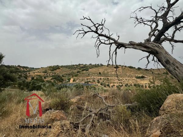 Terreno en Bobadilla - Bobadilla Estación - La Joya