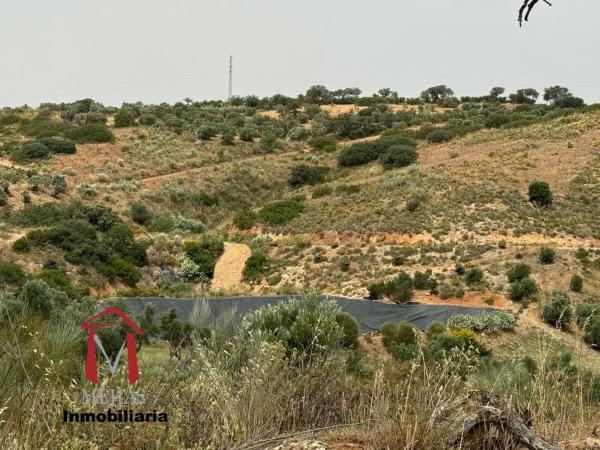 Terreno en Bobadilla - Bobadilla Estación - La Joya