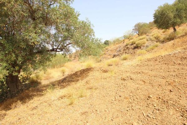 Terreno en Diseminado Diseminados, 602