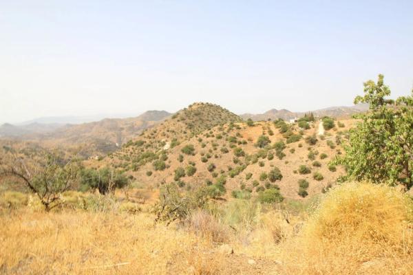 Terreno en Diseminado Diseminados, 602