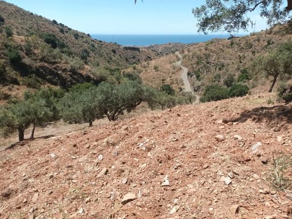 Terreno en camino Moclinejo s/n LoNarcisos