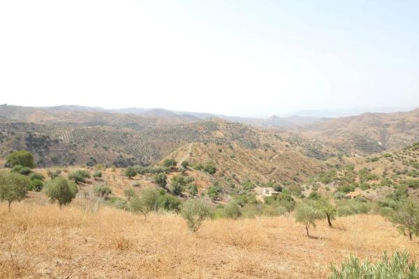 Terreno en Diseminado Diseminados, 602