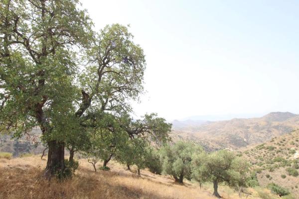 Terreno en Diseminado Diseminados, 602