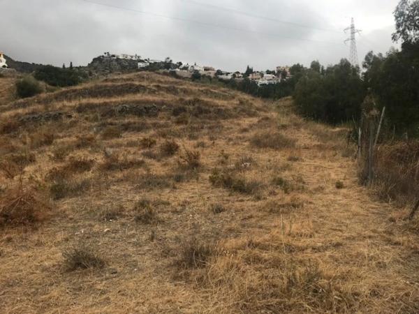 Terreno en calle el Olmedo