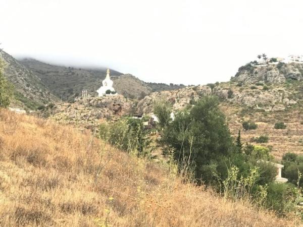 Terreno en calle el Olmedo