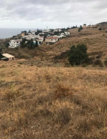 Terreno en calle el Olmedo
