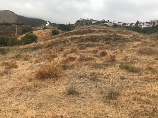 Terreno en calle el Olmedo