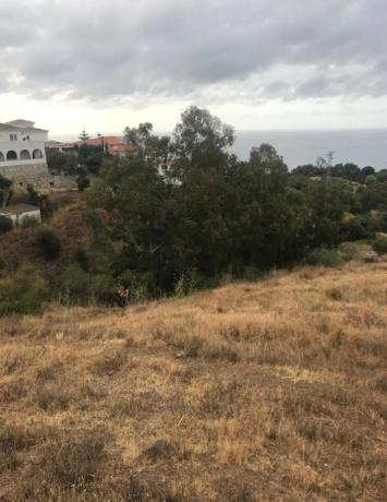 Terreno en calle el Olmedo