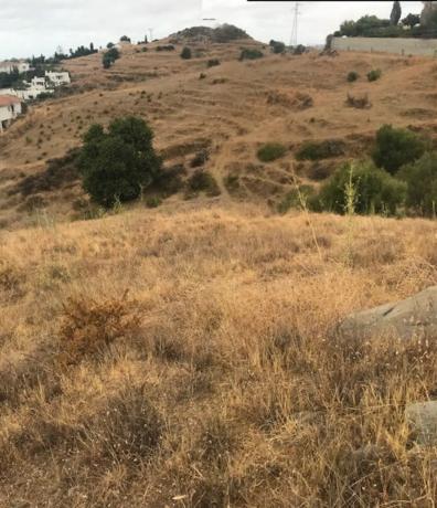 Terreno en calle el Olmedo