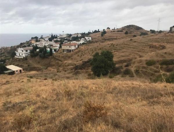 Terreno en calle el Olmedo