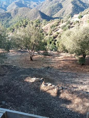 Terreno en Diseminado Diseminados, 124