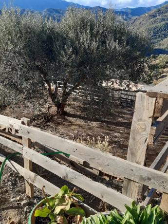 Terreno en Diseminado Diseminados, 124