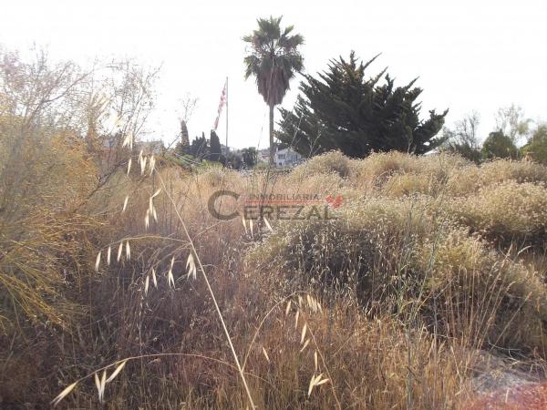 Terreno en Benajarafe