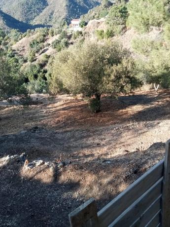 Terreno en Diseminado Diseminados, 124