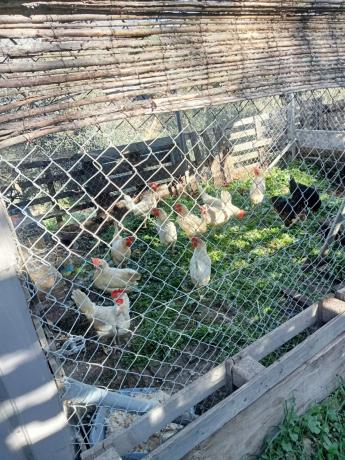 Terreno en Diseminado Diseminados, 124