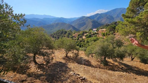 Terreno en Diseminado Diseminados, 124