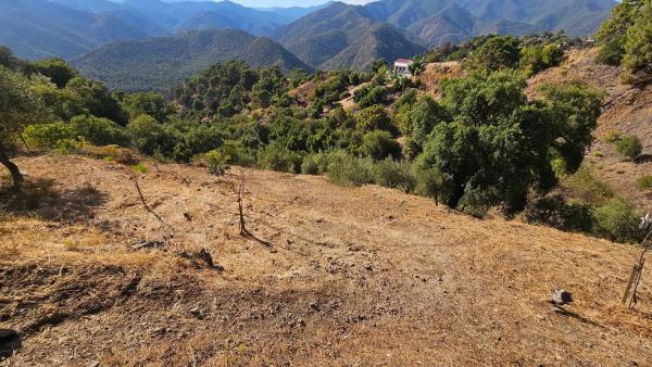 Terreno en Diseminado Diseminados, 124