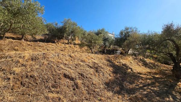 Terreno en Diseminado Diseminados, 124