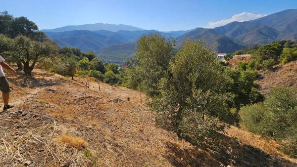 Terreno en Diseminado Diseminados, 124