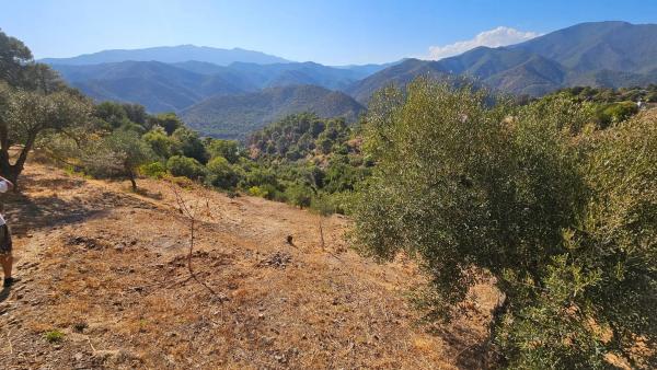 Terreno en Diseminado Diseminados, 124