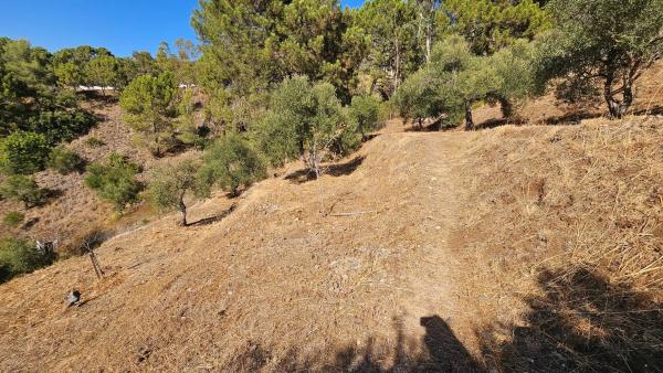 Terreno en Diseminado Diseminados, 124