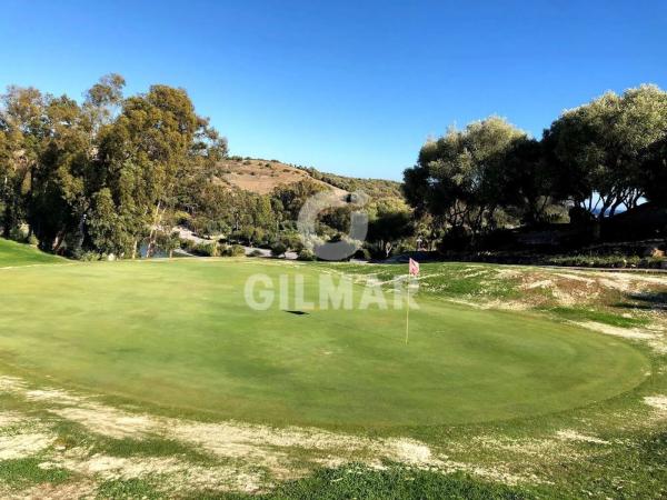 Terreno en avenida de los Musicos