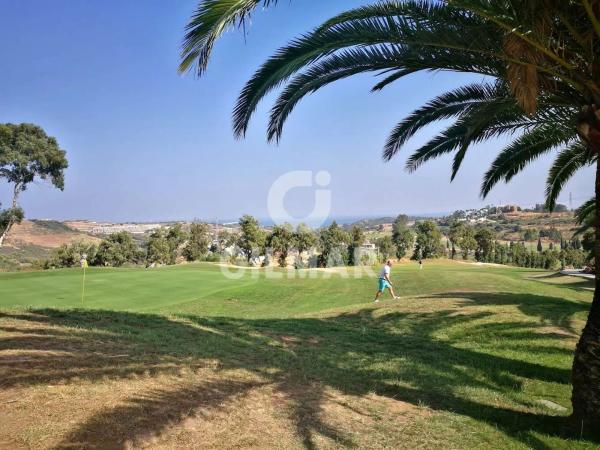 Terreno en avenida de los Musicos