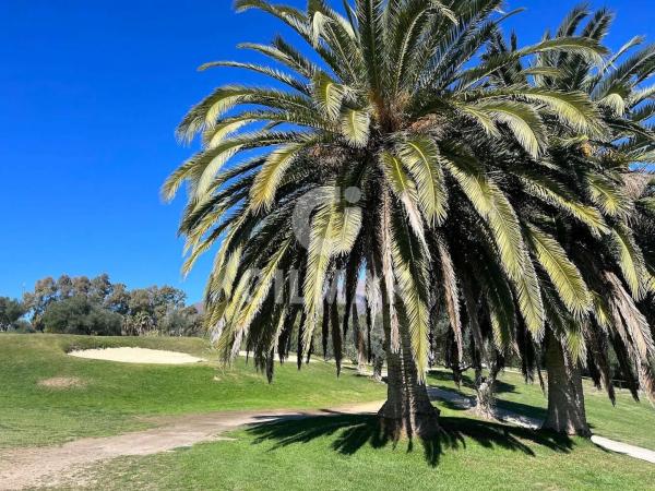 Terreno en avenida de los Musicos