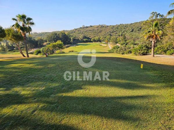 Terreno en avenida de los Musicos
