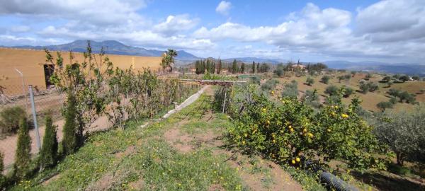 Terreno en calle San Román